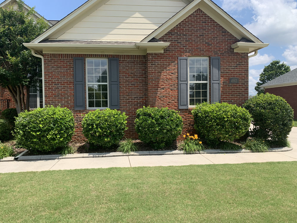 Trimming Bushes